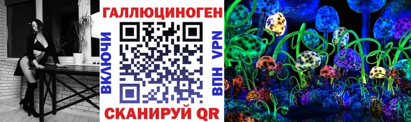 купить   Краснотурьинск  Псилоцибиновые грибы Psilocybine cubensis 