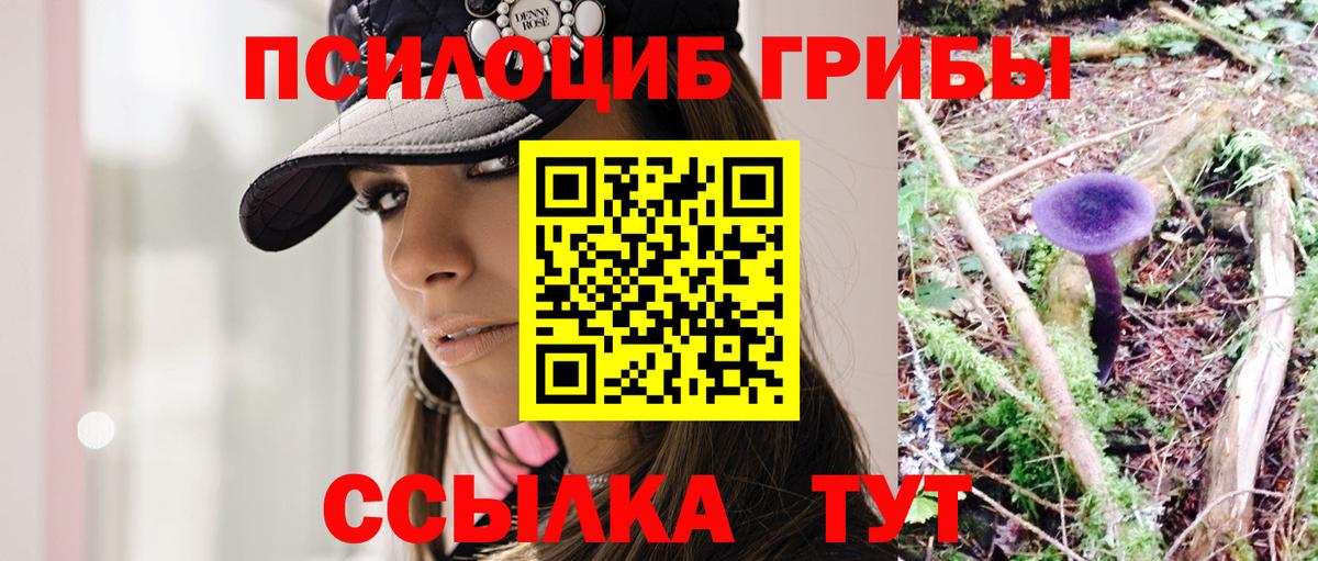 Псилоцибиновые грибы Cubensis Краснотурьинск