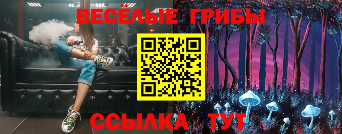 дарнет шоп  Вход с VPN  Краснотурьинск  Псилоцибиновые грибы Psilocybe 